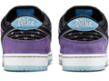 Nike SB x Hayley Wilson Dunk Low 'Court Purple' Skate Shoe (HJ0513-500)