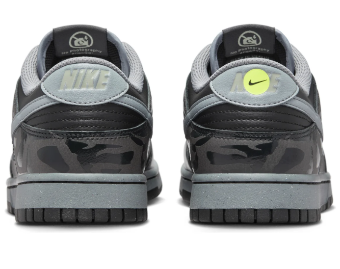 Nike Dunk Low 'Berlin' Sneaker (FZ3053-001)